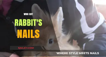 How to Trim Your Rabbit's Nails Safely