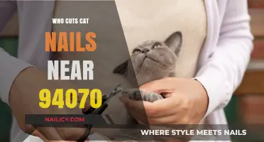 Cat Nail Trimming: Professional Groomers Near You