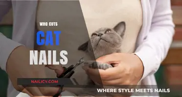 Cat Claw Clipping: Who Does the Trimming?