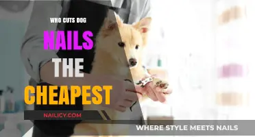 Affordable Dog Nail Trimming Services: Where to Find Them