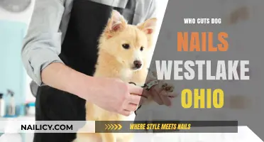 Westlake, Ohio: Where to Get Your Dog's Nails Trimmed