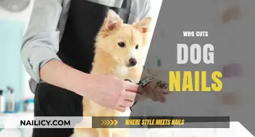 Grooming Basics: Trimming Your Dog's Nails