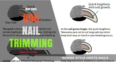 Groomers: Dog Nail Trimming Experts