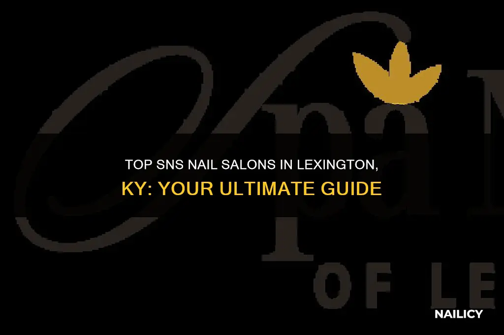 who does sns nails in lexington ky
