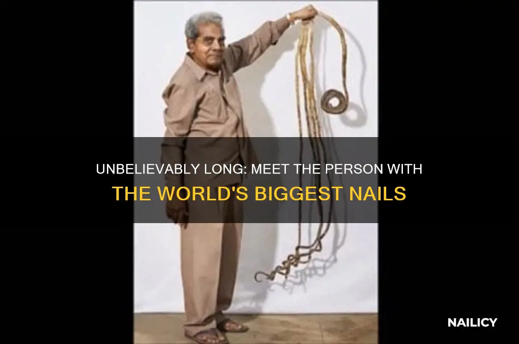 who has the biggest nails in the world