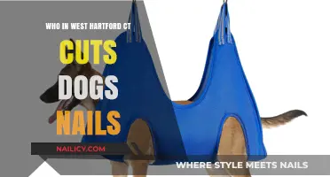 West Hartford's Best Dog Nail Trimming Services