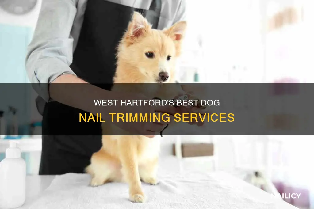 who in west hartford ct cuts dogs nails