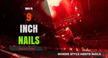 Unveiling the Industrial Rock Legacy of Nine Inch Nails