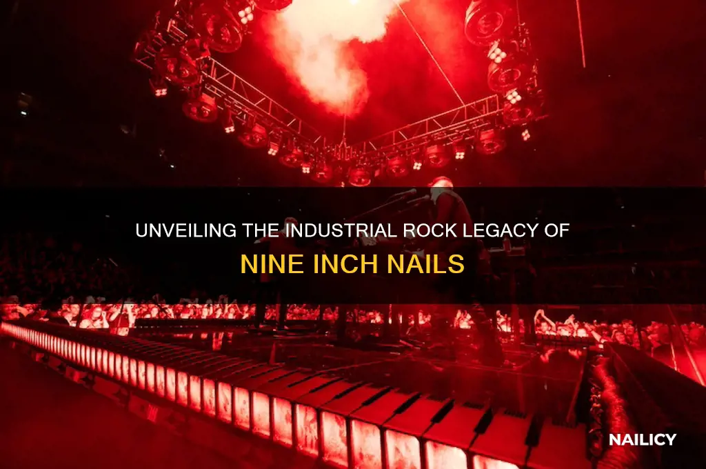 who is 9 inch nails