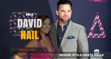 Unveiling David Nail: The Country Music Star's Journey and Legacy