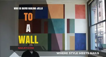 Who is David? Nailing Jello to a Wall Explained