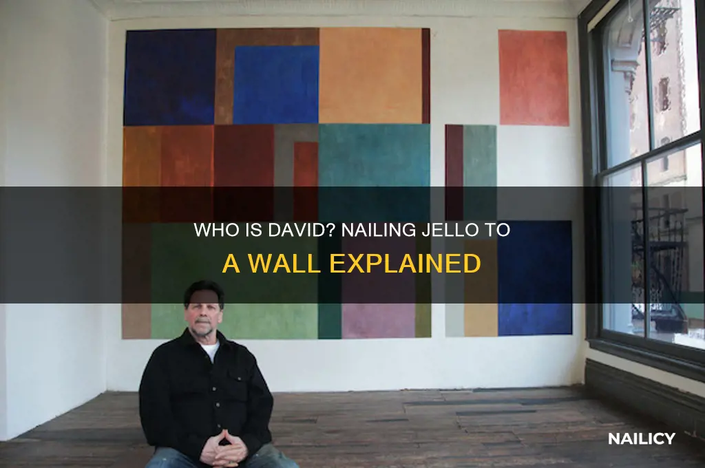 who is david nailing jello to a wall