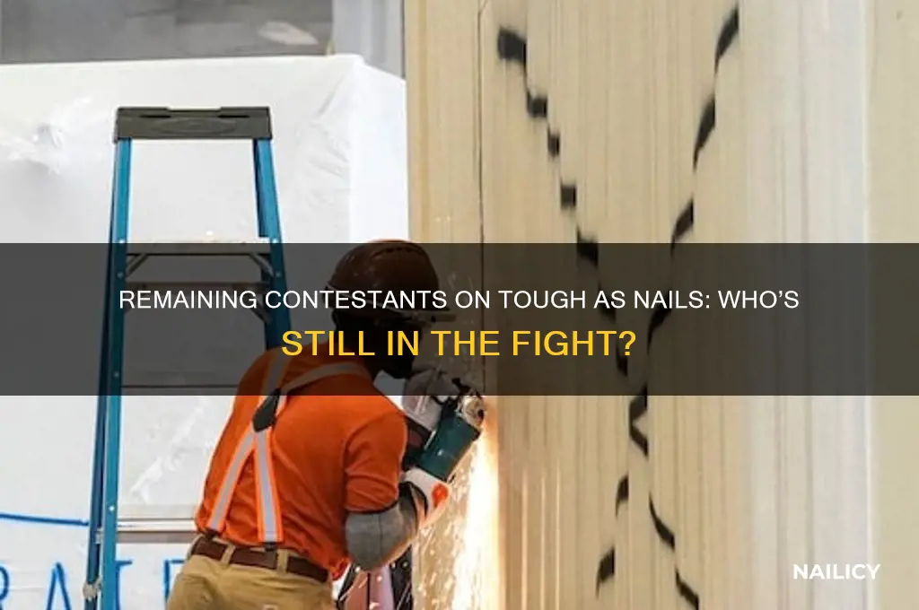 who is left on tough as nails