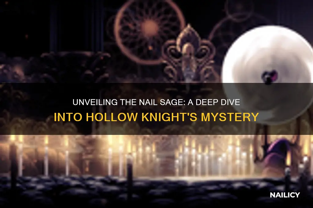 who is the nail sage in hollow knight