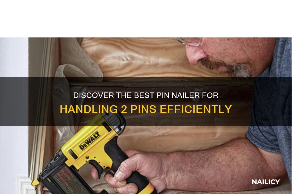 who makes a pin nailer that handles 2 pins