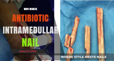 Who Manufactures Antibiotic-Coated Intramedullary Nails for Bone Fractures?