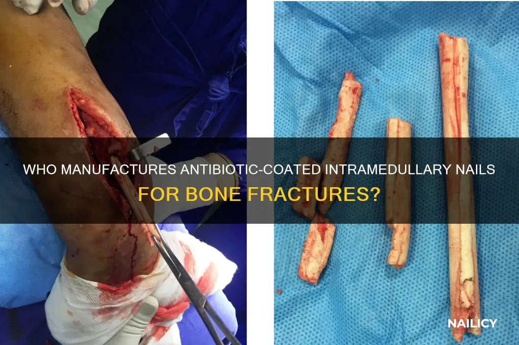 who makes antibiotic intramedullary nail