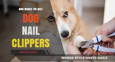 Top Dog Nail Clippers: Expert Picks for Safe Paw Care
