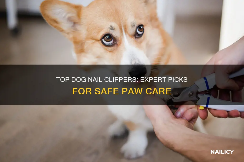who makes the best dog nail clippers