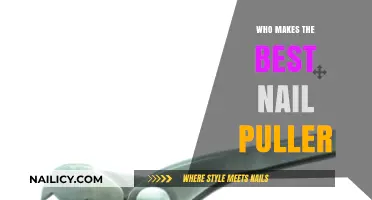 Top Nail Puller Brands: Who Makes the Best Tool for the Job?