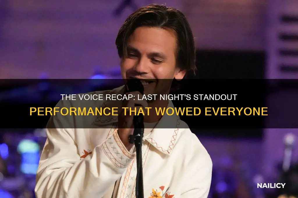 who nailed it on the voice last night