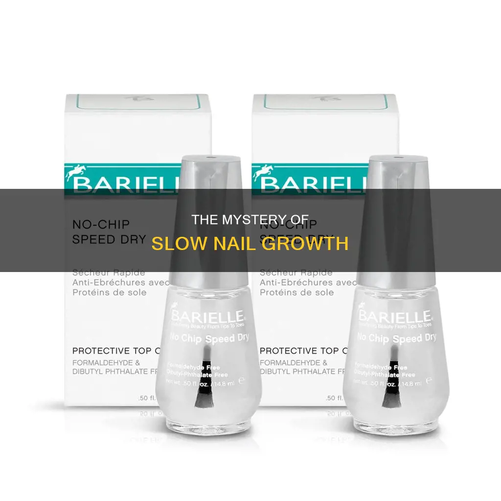 who nails grow slower