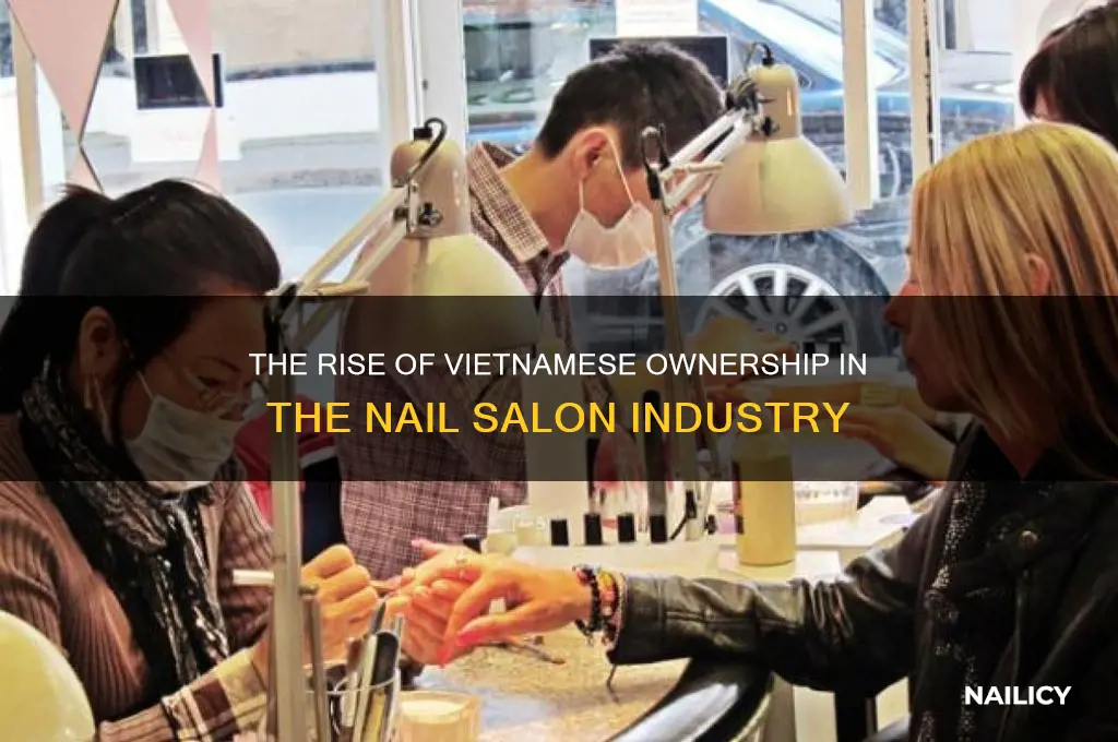 who owned nail salons vietnamese