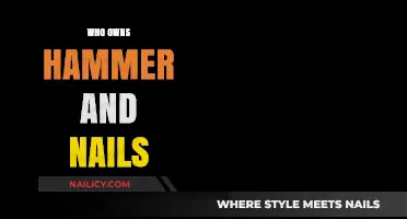 Who Owns Hammer and Nails? Unraveling the Mystery Behind the Brand