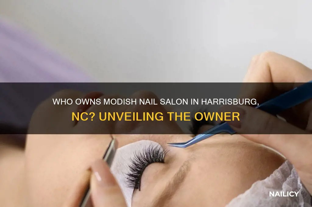 who owns modish nail salon harrisburg nc
