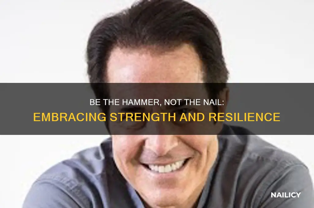 who said be the hammer not the nail