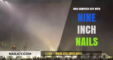 Nine Inch Nails Sampling Legacy: Who Sampled Their Iconic Tracks?