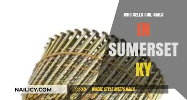 Where to Buy Coil Nails in Somerset, KY: Top Suppliers