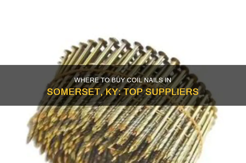 who sells coil nails in sumerset ky