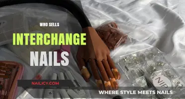 Where to Buy Interchangeable Nails: Top Retailers and Brands