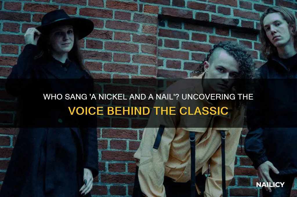 who sing a nickel and a nail