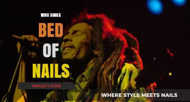 Bed of Nails: Unveiling the Voice Behind the Iconic Track