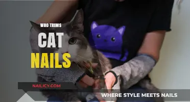 Trimming Cat Nails: A Professional or DIY Task?