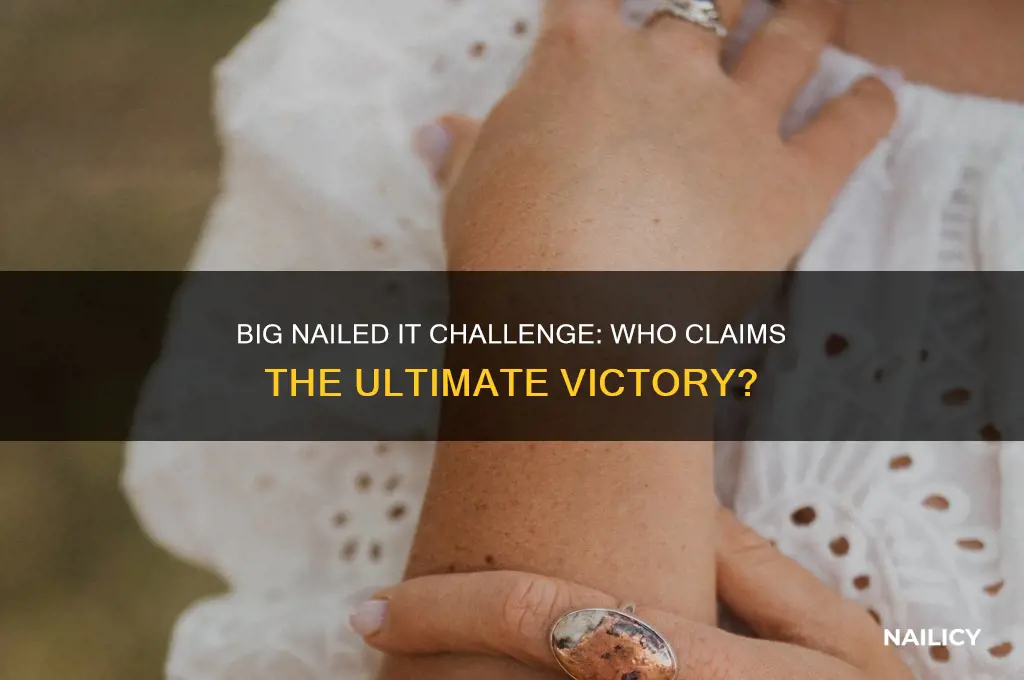 who wins the big nailed it challenge