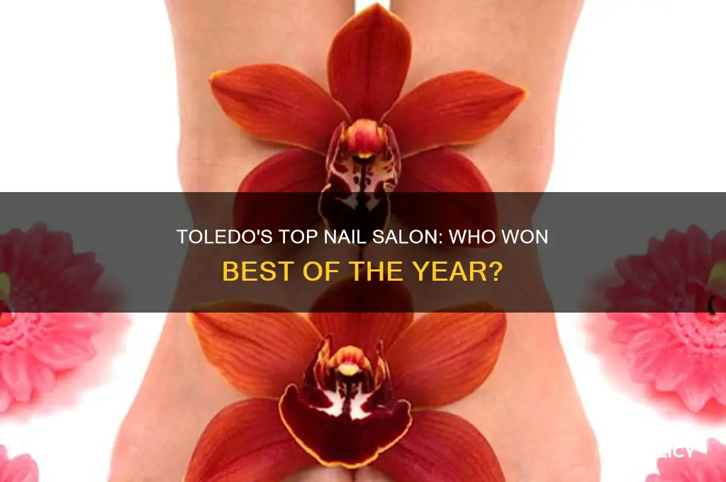 who won best nail salon of toledo