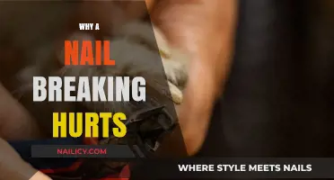 Why Does a Broken Nail Cause Such Sharp Pain?
