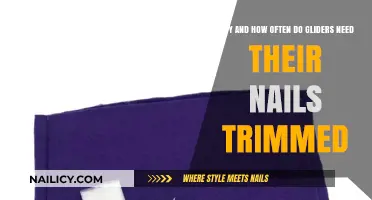 Glider Nail Care: Trimming and Maintenance Guide