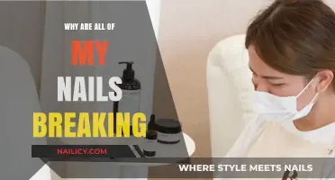 Why Are My Nails Breaking? Causes and Solutions for Brittle Nails