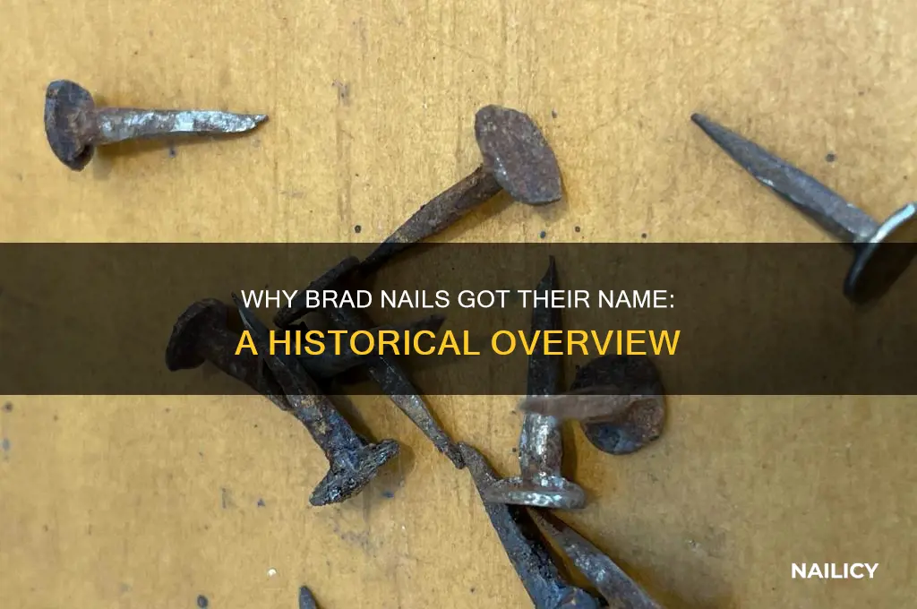 why are brad nails called brad nails