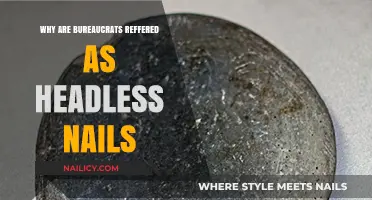 Headless Nails: Understanding the Bureaucrat's Paradoxical Reputation