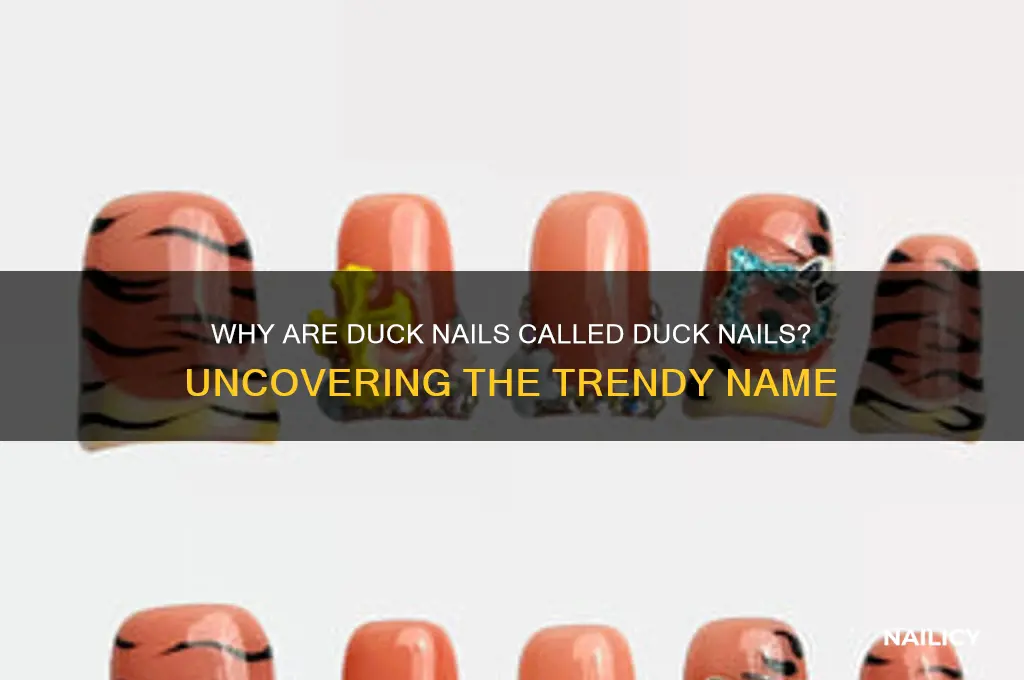 why are duck nails called duck nails