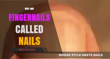 Why Fingernails Are Called Nails: Unraveling the Etymology
