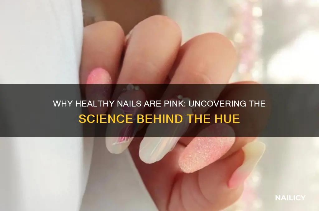 why are healthy nails pink