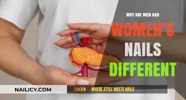 Why Men and Women's Nails Differ: Biology and Hormones Explained