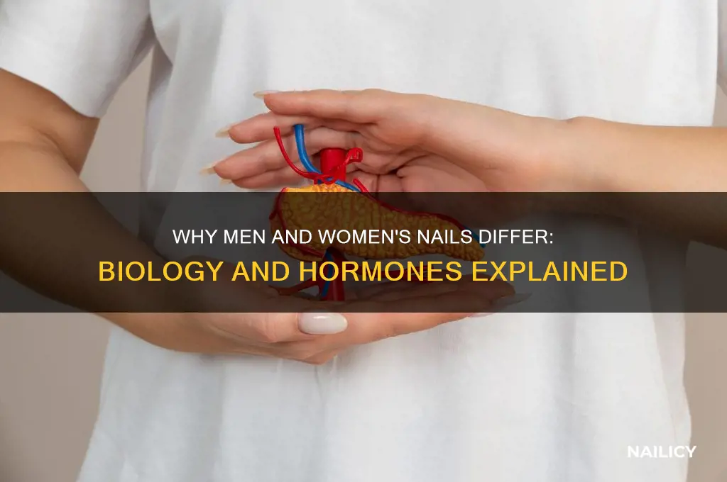 why are men and women