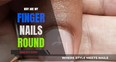 How Your Finger Nails Get Their Round Shape